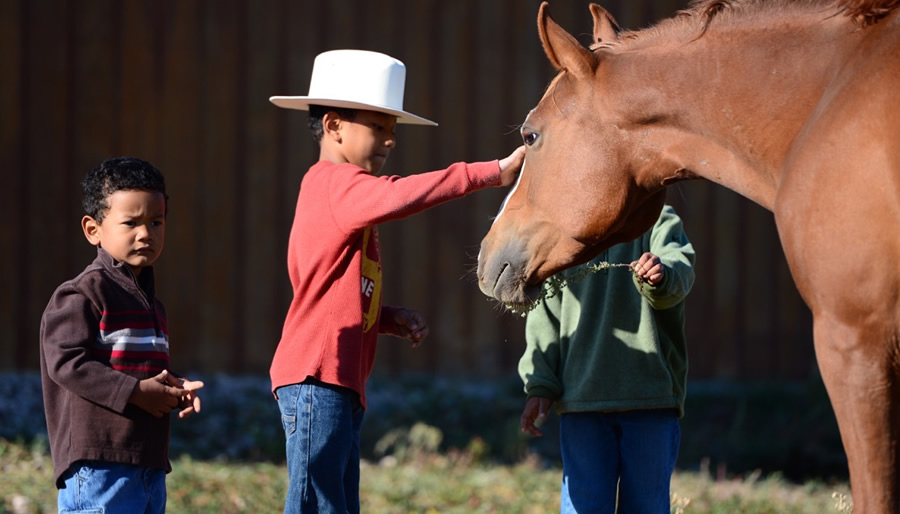 Son Bride Ranch Life 010