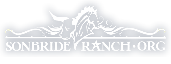 logo sbr1 main