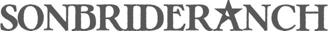 text logo sbr
